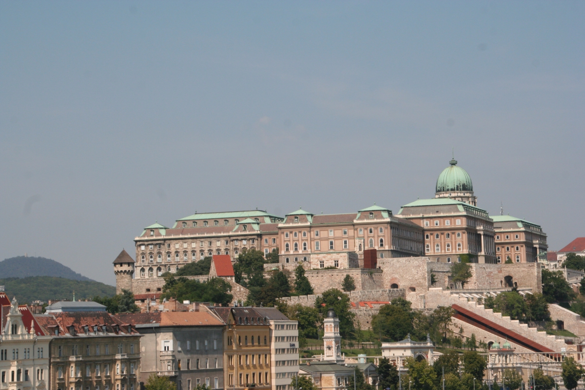 Img_15-08-10_11-05-54_498